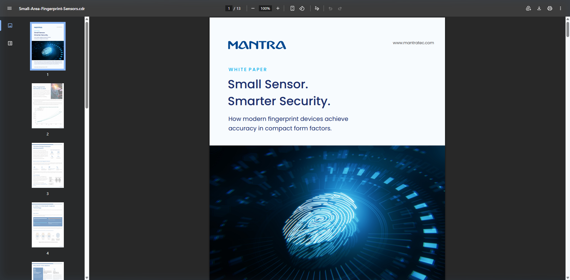 Small Area Fingerprint Sensors